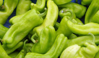 青椒冬天的储存方法 青椒冬天的储存方法是什么