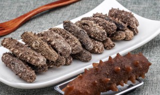 海参泡发后可以保存多久 海参泡发后可以保存多长时间