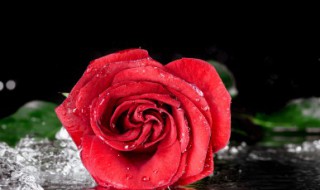 七久节日快乐祝福语 七久节日快乐祝福语有哪些