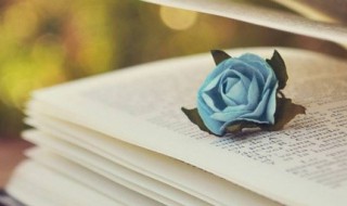 风尘仆仆是什么意思 风尘仆仆的含义