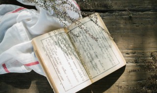 答非所问是什么意思 答非所问的意思