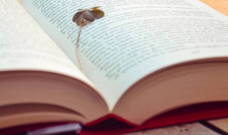 半手绘是什么意思 半手绘解释