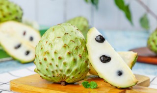 释迦果树适合在哪种植 释迦果树适合在什么地方种植