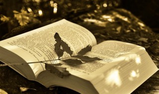 断糖生酮是什么意思 断糖生酮解释