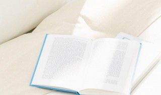 劫掠的意思 劫掠的解释