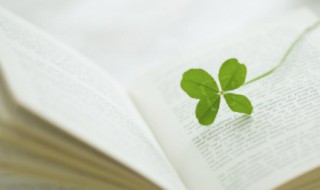 张冠李戴什么意思 张冠李戴的释义