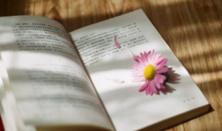 责无旁贷什么意思 责无旁贷的含义