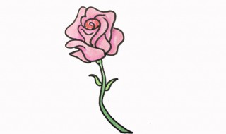 简单的花怎么画 蔷薇花简笔画教程