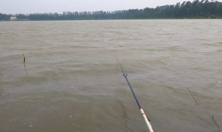 冬季阴天钓鱼的位置 这3个位置别错过