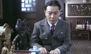 许忠义是哪部电视剧 一部谍战电视剧里的智斗