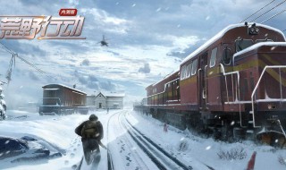 和平精英和荒野行动有什么区别 两者的开发公司是一家吗