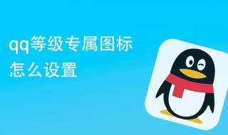 QQ怎么升级 答案如下