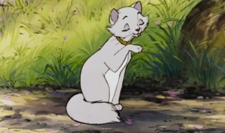 历险记电影有哪些 看看历险记里的有趣和收获