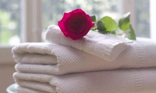 怎样清洗油腻毛巾 油腻毛巾的清洗方法