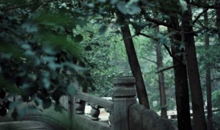 品茗听雪什么意思 品茗听雪意思解析