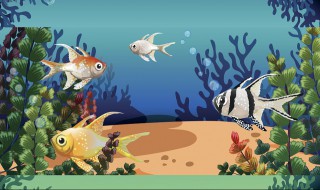 不用下载就能玩的游戏有哪些 点进来告诉你答案