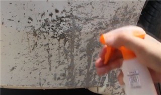 车漆上的水渍如何去掉 怎么去除车漆上的水渍