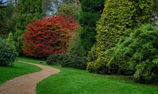 东坑绿化养护园林绿化特点 有这些好处