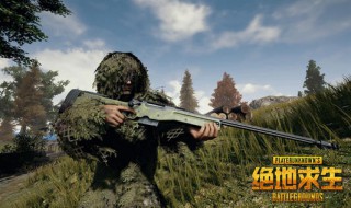 全军出击刺激战场和平精英的区别 有这些区别