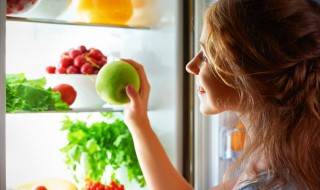 冰箱转换器怎么调节 冰箱转换器怎么设定