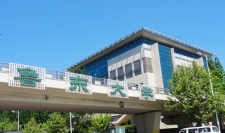 鲁东大学最好的专业 鲁东大学最好的专业如下