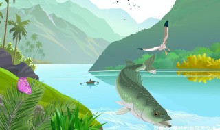 黑坑钓大青鱼跑铅方法 在黑坑怎么钓滑口青鱼？