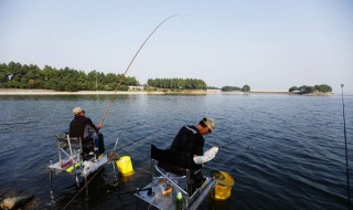 冬天水库涨水怎么选钓位 水库垂钓钓位选择技巧