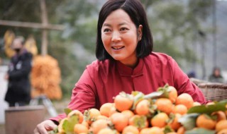 家韵孟事成是什么电视剧 家韵孟事成最后在一起了吗？