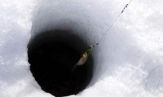 冬天钓鱼技巧是钓底吗 冬天钓鱼应该怎么样