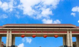 高等学校是指大学吗 高等学校的介绍