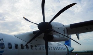 为什么飞机螺旋桨是两叶或三叶的 看这里