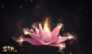 西行纪孙悟空之死是第几集 点击进来看看