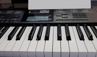 电子琴m和弦指法 进来了解了解