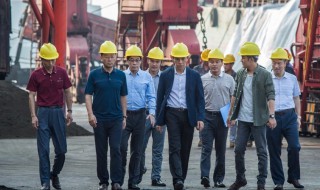 丁薇薇是什么电视剧里的人物 很不错的一部港口题材剧