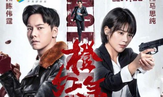 叶望龙刘子光是什么电视剧 扮演者是谁