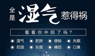 去湿气最好的方法 体内湿气可以这样袪