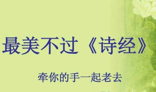 诗经中最唯美的名字 下面一起来看看诗经中最唯美的名字吧