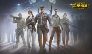 怎么弄好看的动作和平精英 具体方法教程