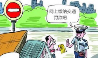网上怎么处理车辆违章罚款和扣分? 查询方法介绍