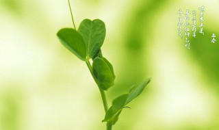 2020年2月4日是什么日子 了解一下