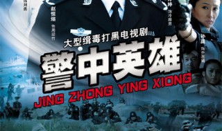 雷茜和丁局长是什么电视剧 警中英雄电视剧有哪些演员参演