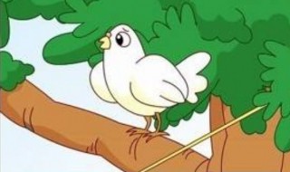 寓言故事有哪些 三年级 6个寓言故事