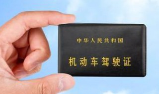 不用考驾照就能开的车 有这种车型吗