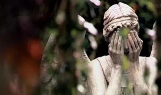 和异种类似的电影 有什么像异种的电影