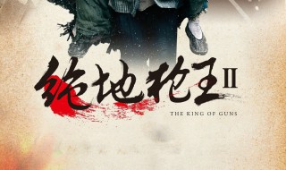 枪王电视剧大结局 绝地枪王大结局