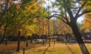 形容人生各个阶段的词语 形容人生各阶段的词语有哪些呢