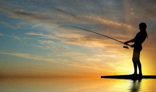 钓鱼技巧有哪些 钓鱼技巧介绍