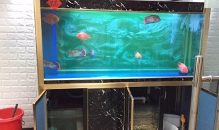 鱼缸角渗水补救方法 鱼缸角渗水怎么补救