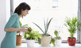 冬季给花浇水的方法 冬季如何给花浇水