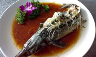 清蒸鲟鱼如何做 清蒸鲟鱼做法介绍